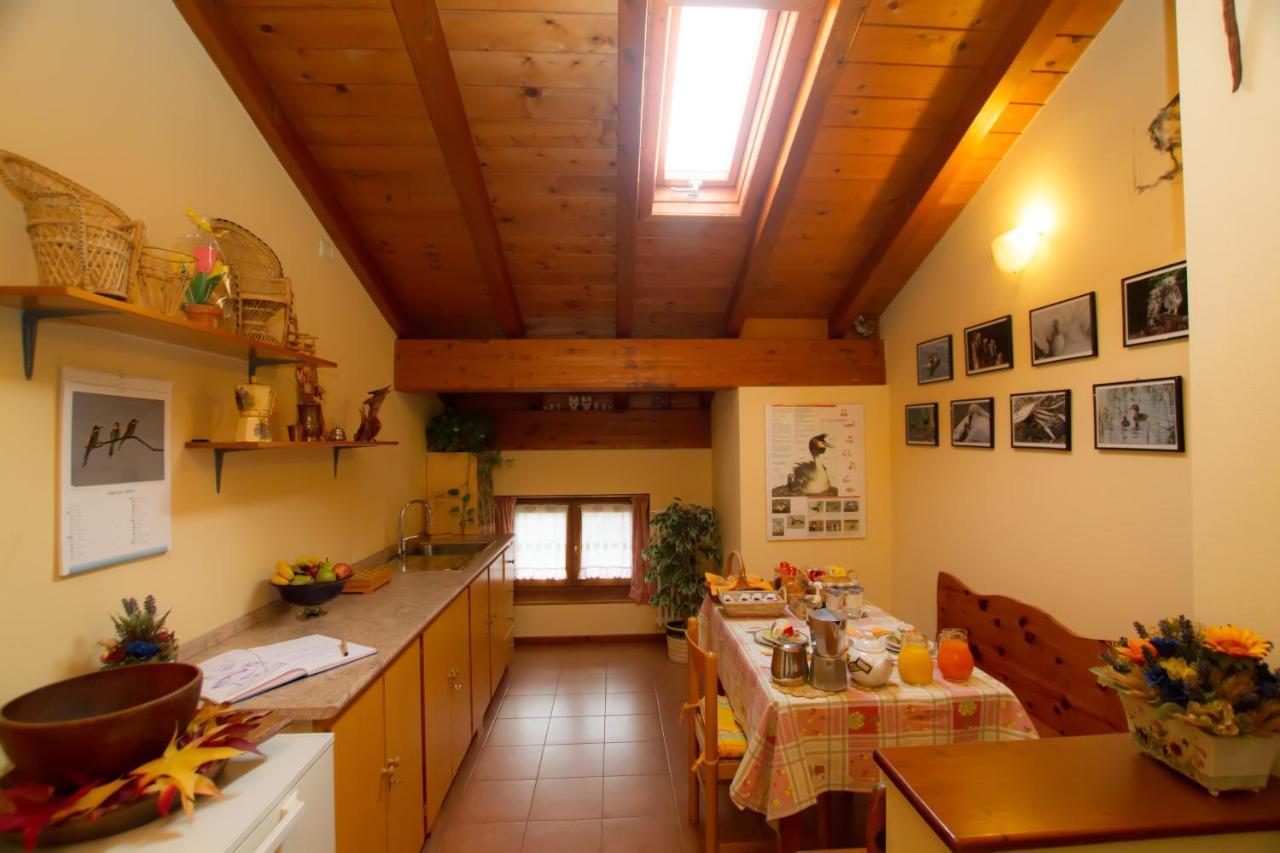Guest House Il Nido Dello Svasso -Foresteria Lombarda- Sorico Luaran gambar